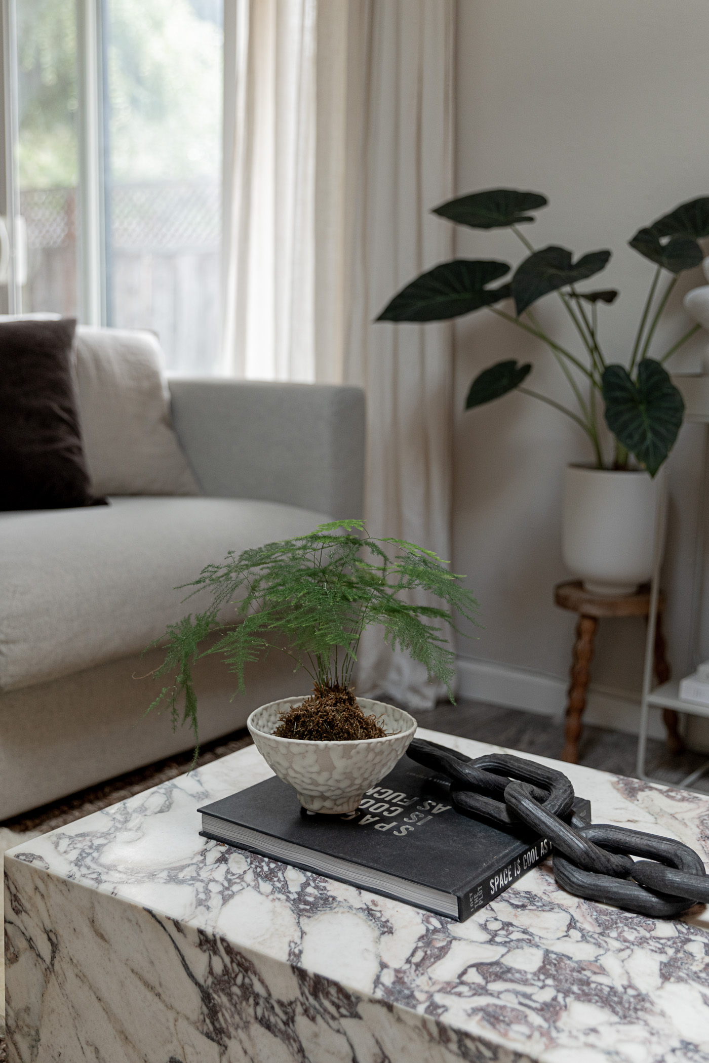 DIY Kokedama
